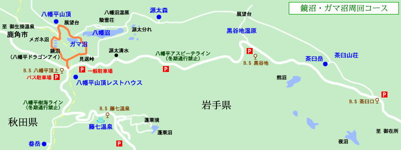 トレッキングコース