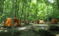県民の森キャンプ場